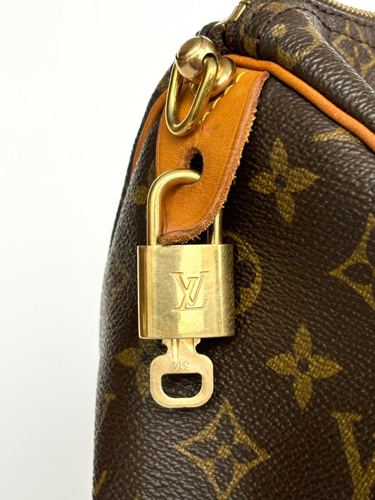 LOUIS VUITTON Speedy 25 with strap
